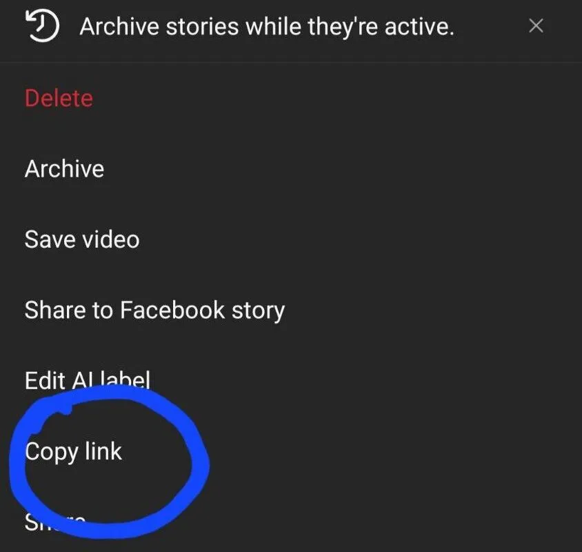 Copy The Url From instagram